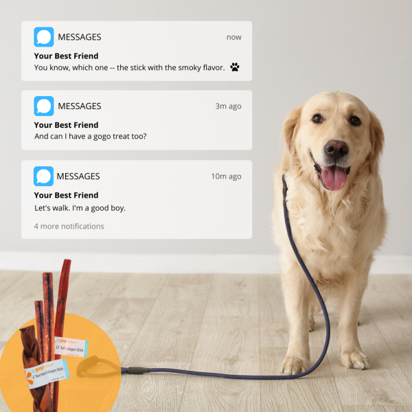 social media post promoting dog's health